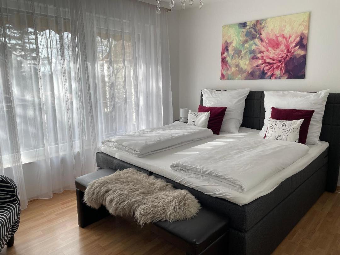 Cosy Auf Zeit Apartment Nürnberg